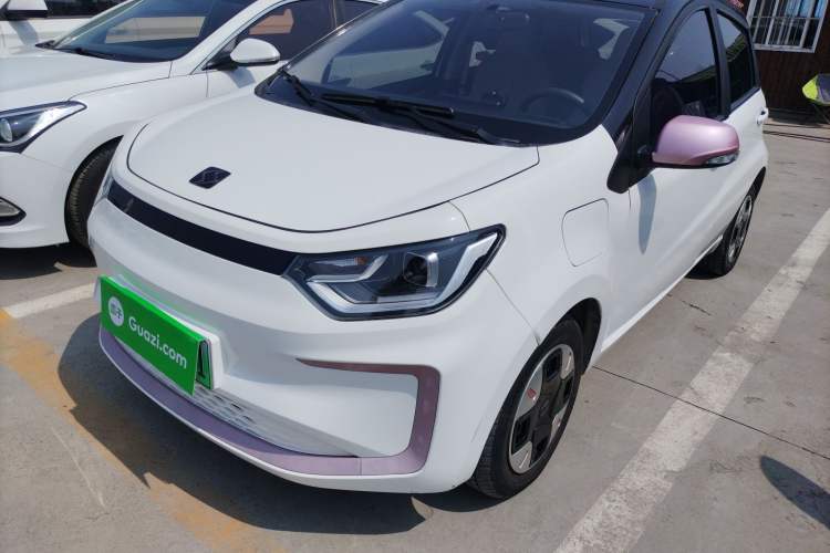 Used SOL E10X 2022 Flower Fairy Design Dandelion