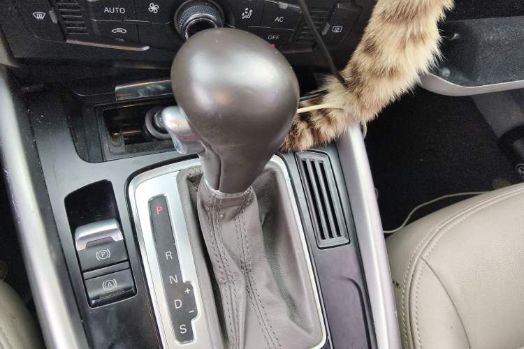 Used Audi Q5 2010 2.0TFSI Trendy Edition