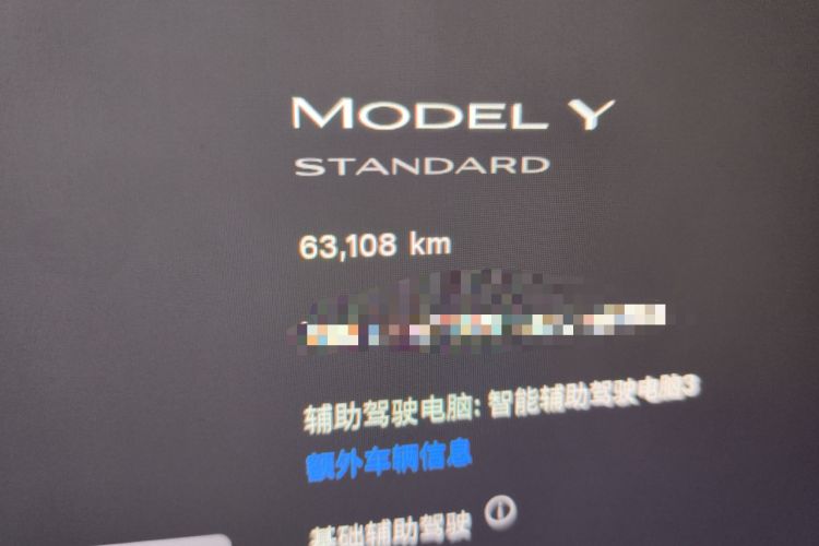 Used Tesla Model Y 2021 Standard Range Rear-Wheel Drive Version
