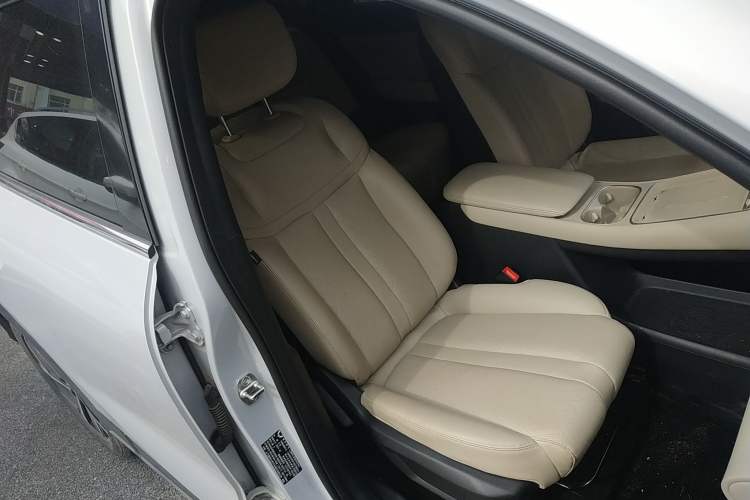 Used Wuling Xingguang S 2024 130km Flagship Version Right Front Seat