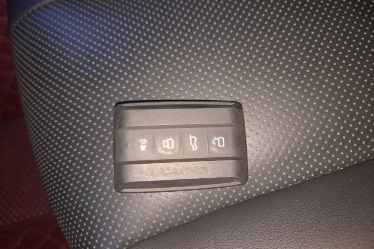 Used Tank 300 2024 2.0T Conqueror