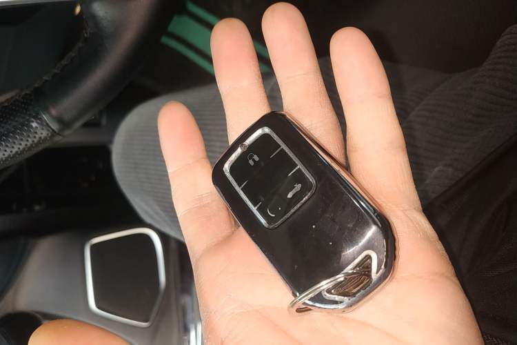 Used Honda Avancier 2020 370TURBO Four-Wheel Drive Premium Edition
