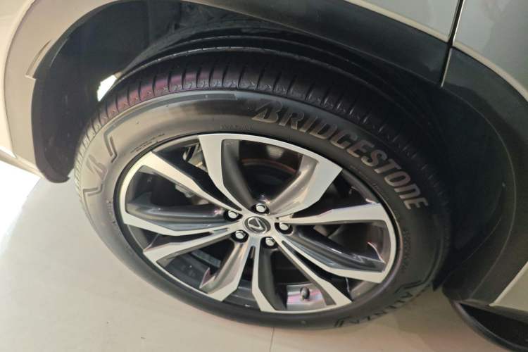 Used Lexus RX 2020 300 4x4 Elegant Edition China VI
