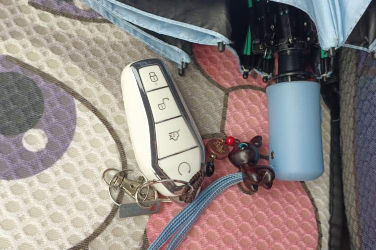 Used BYD Qin L 2025 DM-i Smart Drive 80KM Leading Model Vehicle Key