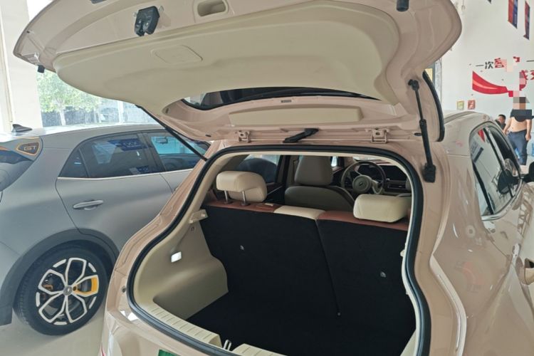 Used ORA Good Cat 2023 401 km Standard Range Luxury Version Lithium Iron Phosphate
