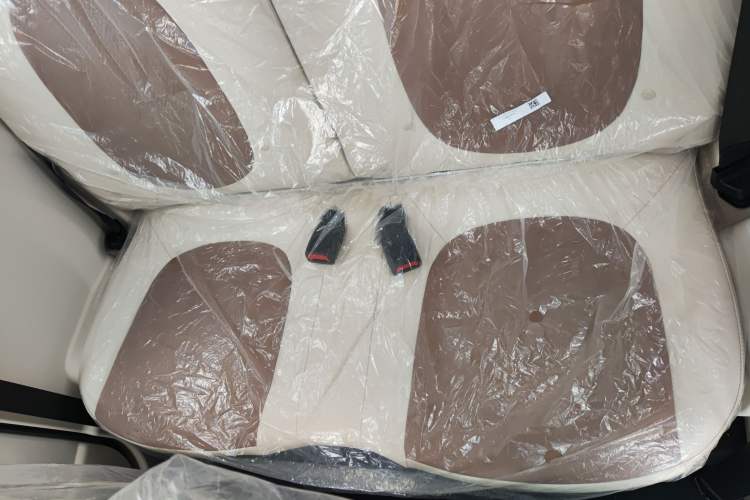 Used Bestune Pony 2026 222km Colorful Horse Left Rear Seat