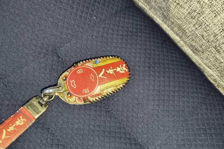 Used Leapmotor T03 2021 400 Lite Edition Lithium Iron Phosphate