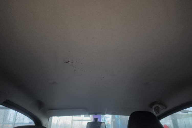 Used BAW Yuanbao 2022 Yue Meng Edition
