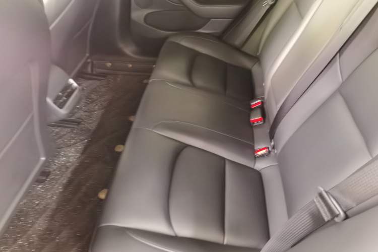 Used Tesla Model 3 2021 Standard Range Rear-Wheel Drive Upgraded Version 3D6
