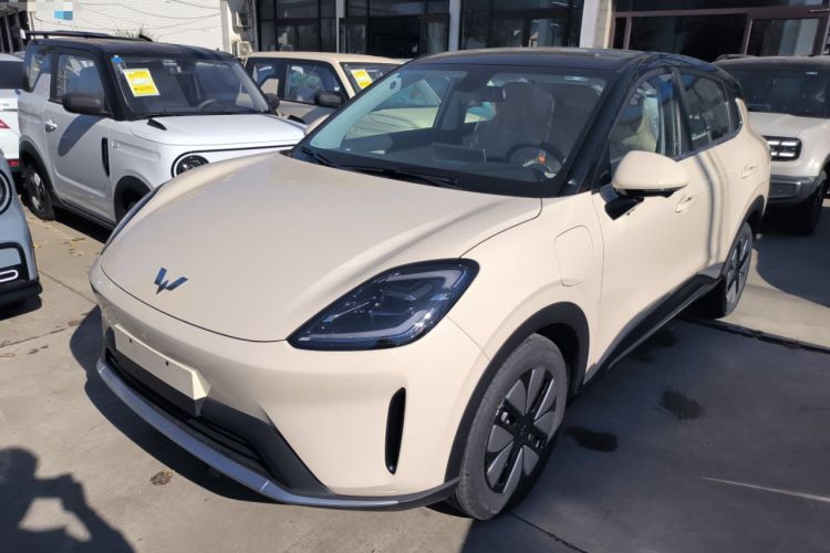 Used Wuling Bingo S 2025 Model 325km Deluxe Edition