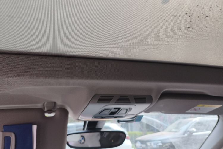 Used BMW X1 2019 sDrive20Li Leading Model Headliner