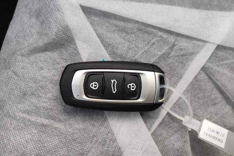 Used Geely Galaxy Panda 2024 Panda Mini 200km Endurance Bear
