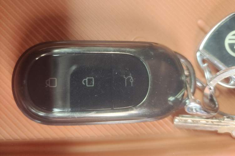 Used Leapmotor C16 2024 Range-Extended 200 Luxury Edition
