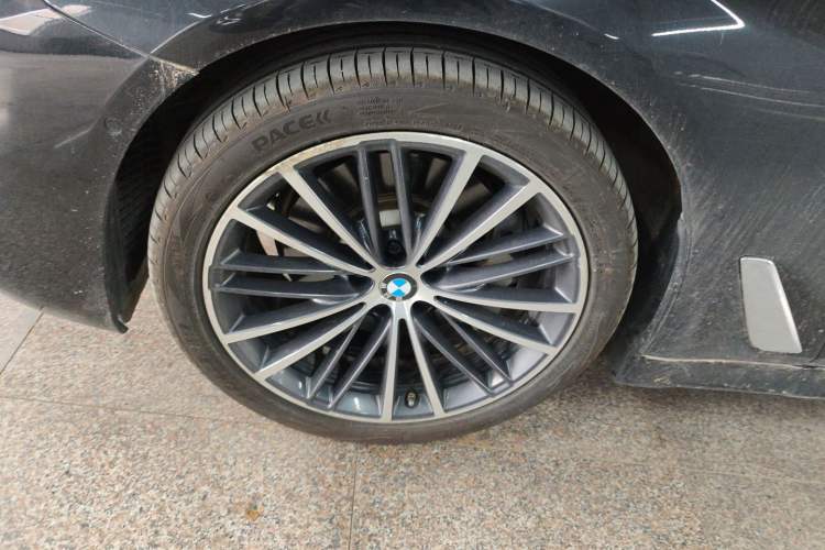 Used BMW 5 Series 2020 530Li Leading Model M Sport Package Exterior 4