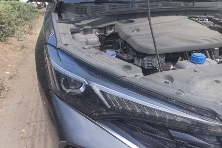 Used CHANGAN Eado 2022 PLUS Blue Whale NE 1.4T GDI DCT Prestige Edition
