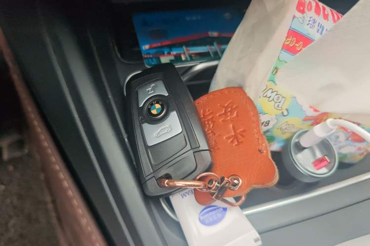 Used BMW 3 Series 2017 318Li Fashion Model Vehicle Key