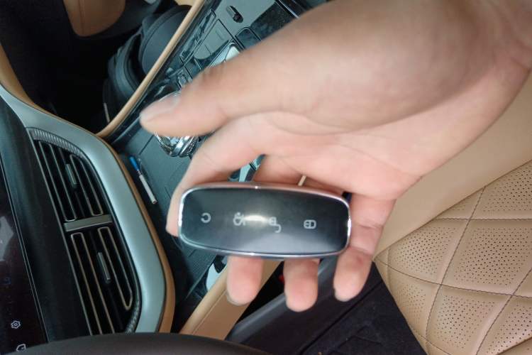 Used Denza D9 2024 DM-i 980 Four-Wheel Drive Flagship Model Interior 1