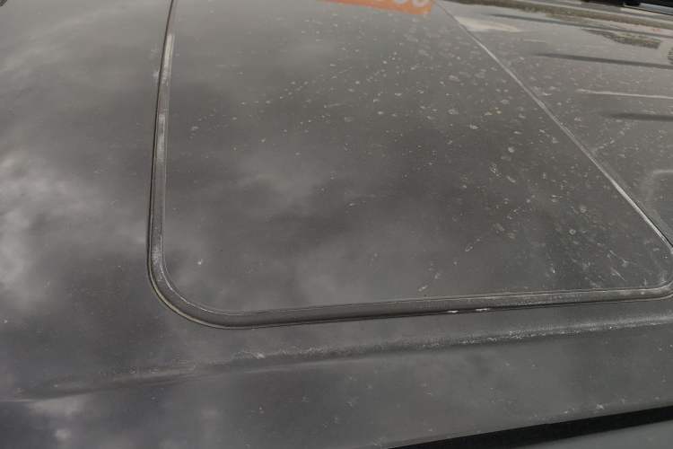 Used Tank 300 2024 2.0T Conqueror
