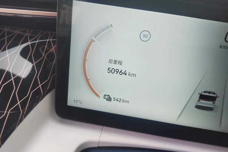 Used Zeekr 009 2022 Revised WE Version Odometer Close Up