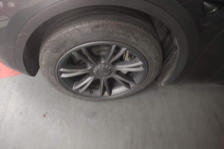 Used Tesla Model Y 2024 Rear-Wheel-Drive Version