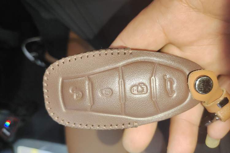 Used Hongqi HQ9 2023 2.0T Smart Connect Flagship Edition
