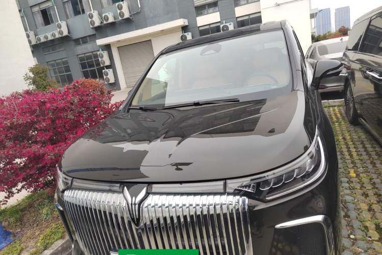 Used VOYAH Dream 2025 PHEV Four-Wheel-Drive Flagship Kunpeng Edition Front