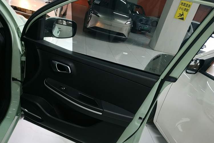 Used Dayun Yuehu 2022 30.66 kWh Two-Wheel Drive Standard Version
