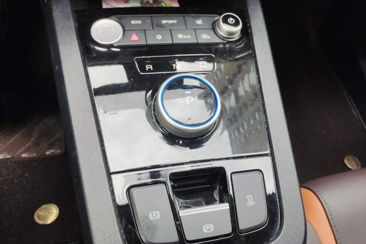 Used BYD e2 2021 Luxury Model Gear Lever