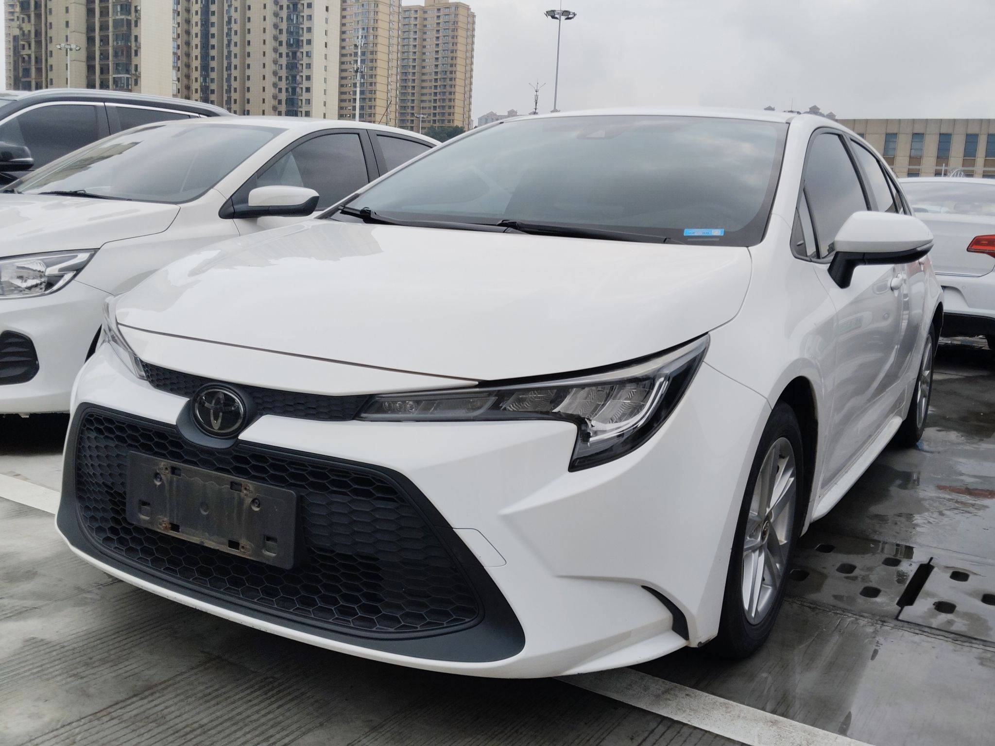 تحت مقدمة السيارة