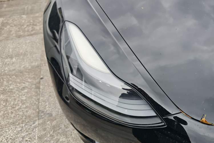 Used Tesla Model 3 2021 Standard Range Rear-Wheel Drive Upgraded Version 3D6
