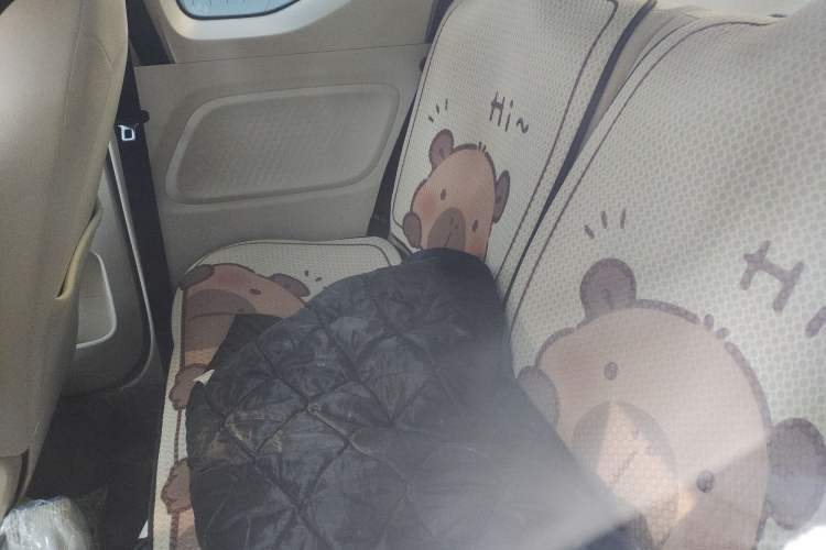 Used Wuling Hongguang MINIEV 2024 3rd Generation 215km Youth Edition Left Rear Seat