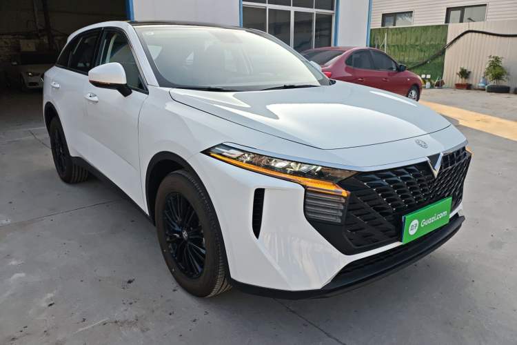 Used Venucia V 2024 260T Idol Joy Ride Pro Edition
