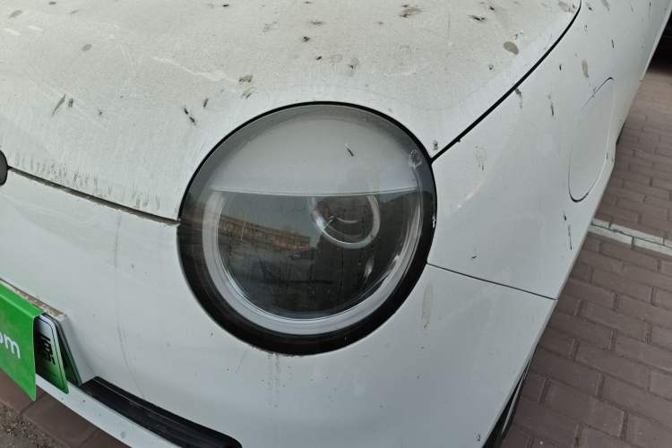 Used Qiyuan Lumin 2025 205 km Xiangqin Version