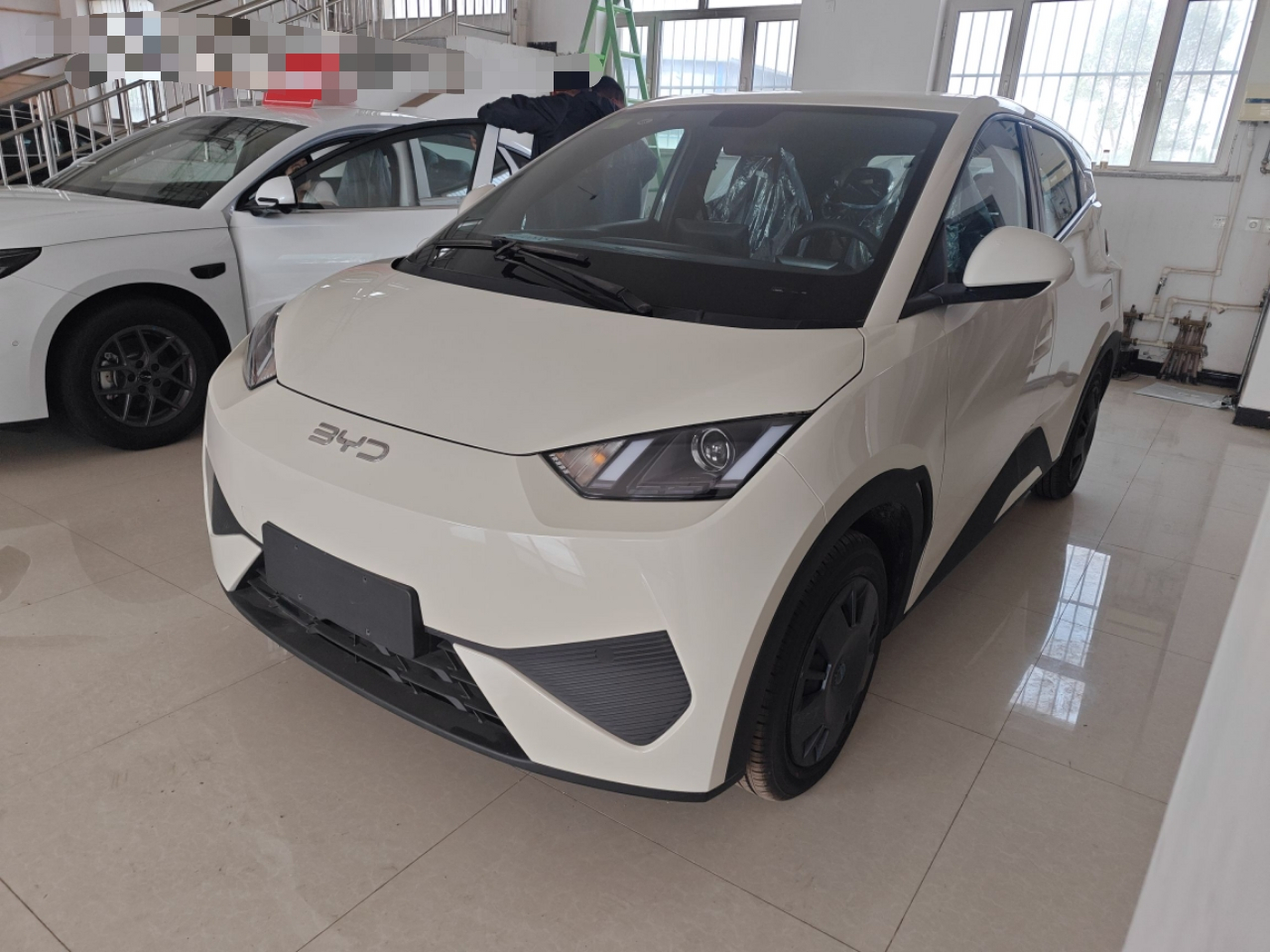 Parte inferior delantera