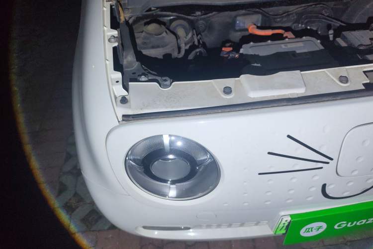 Used ORA Black Cat 2021 351 km Luxury Version