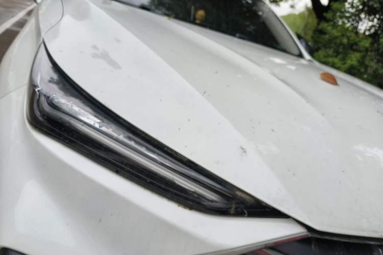 Used CHANGAN OSHAN X5 2021 1.5T DCT Flagship Edition Right Front Headlight