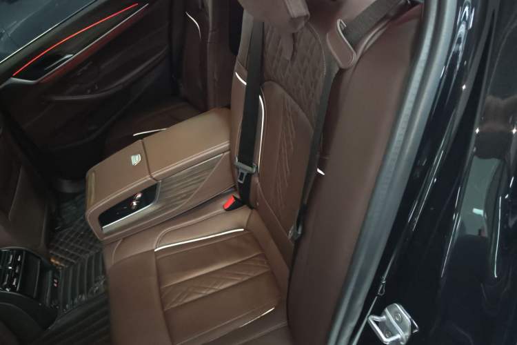 Used BMW 5 Series 2020 530Li Leading Edition Luxury Package