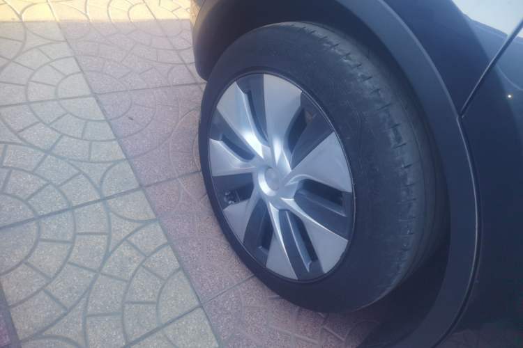 Used Tesla Model Y 2024 Rear-Wheel-Drive Version