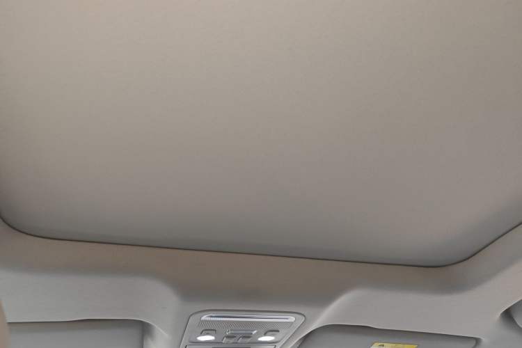 Used FORTHING Yacht 2022 1.5T DCT Chasing Wind Edition Headliner