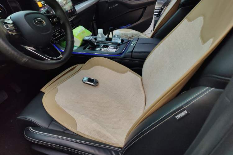 Used GAC Trumpchi GS8 2022 Dual-Engine Series 2.0TM Two-Wheel Drive Prestige Edition (7 Seats) Left Front Seat