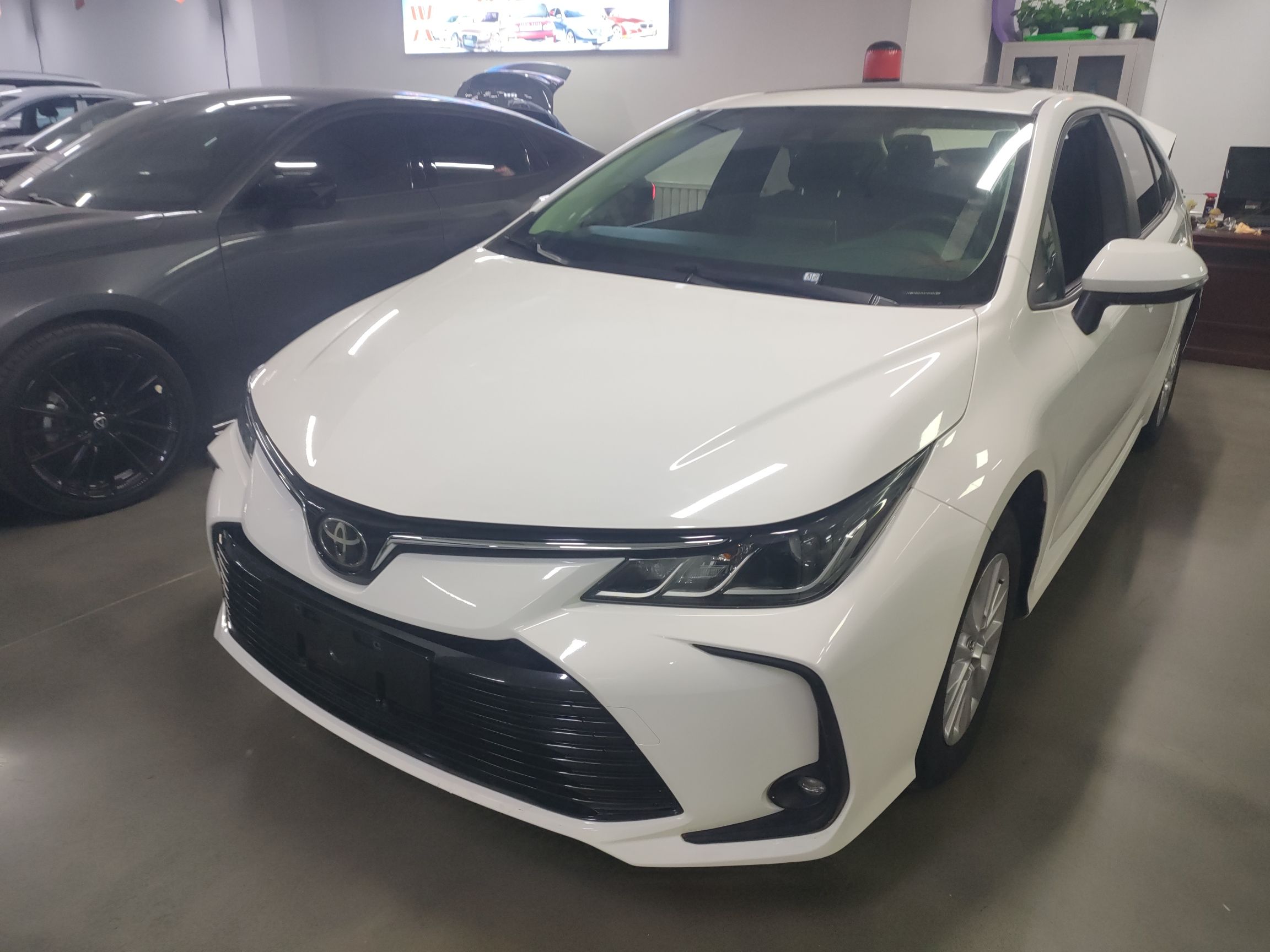 تحت مقدمة السيارة