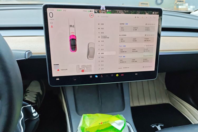 Used Tesla Model 3 2022 Rear-Wheel-Drive Version