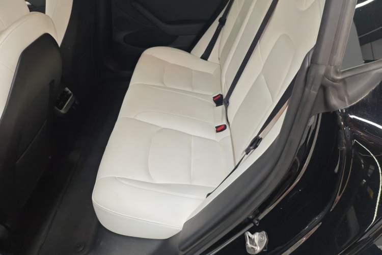 Used Tesla Model 3 2021 Standard Range Rear-Wheel Drive Upgraded Version 3D6