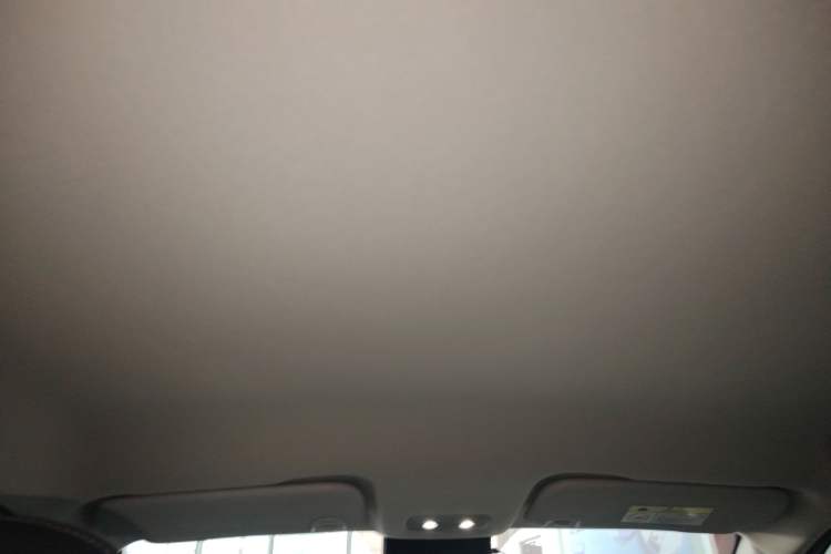 Used NETA V 2021 Long-Range Entertainment Edition Upgrade Model