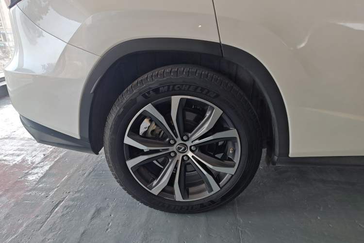 Used Lexus RX 2020 300 4x4 Elegant Edition China VI
