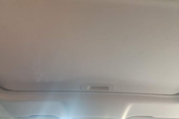 Used Hongqi H5 2020 1.5T DCT Flagship Edition Headliner