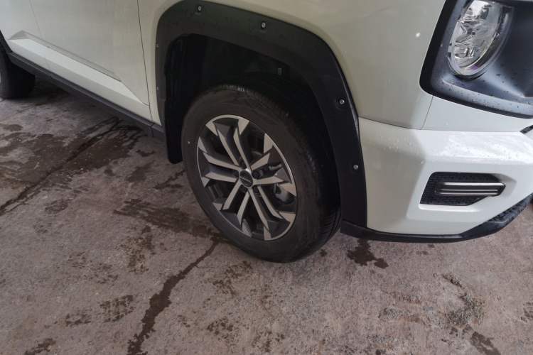 Used Haval H Dog 2023 2.0T Two-Wheel Drive Chaoye Version Plus