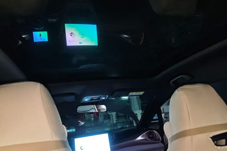 Used BYD Dolphin 2023 420 km Fashion Edition Headliner