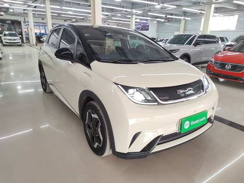 Used BYD Dolphin 2021 405 km Fashion Edition — 3
