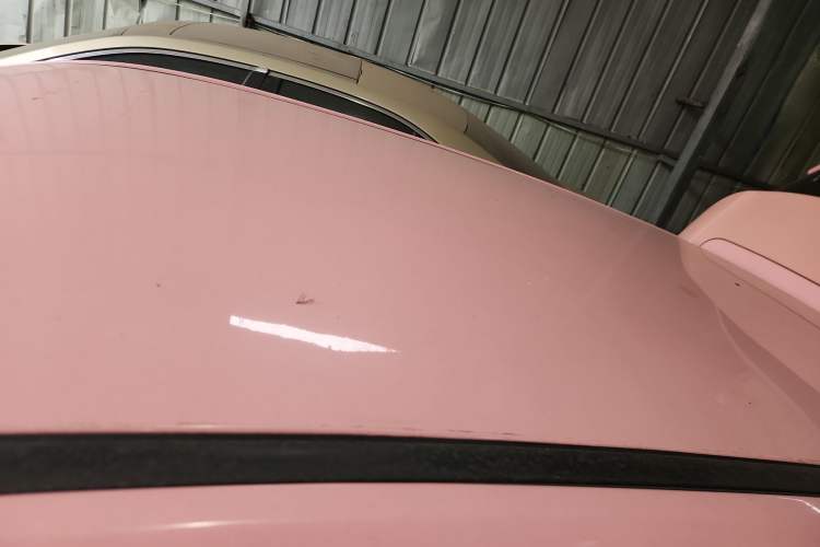 Used NETA V 2021 Witch Edition
